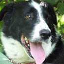 Maxey was adopted in April, 2005